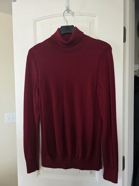 Express Turtleneck Everyday Performance Merino Wool Sweater